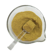 Dehydrated Vegetable Green Bell Pepper Powder